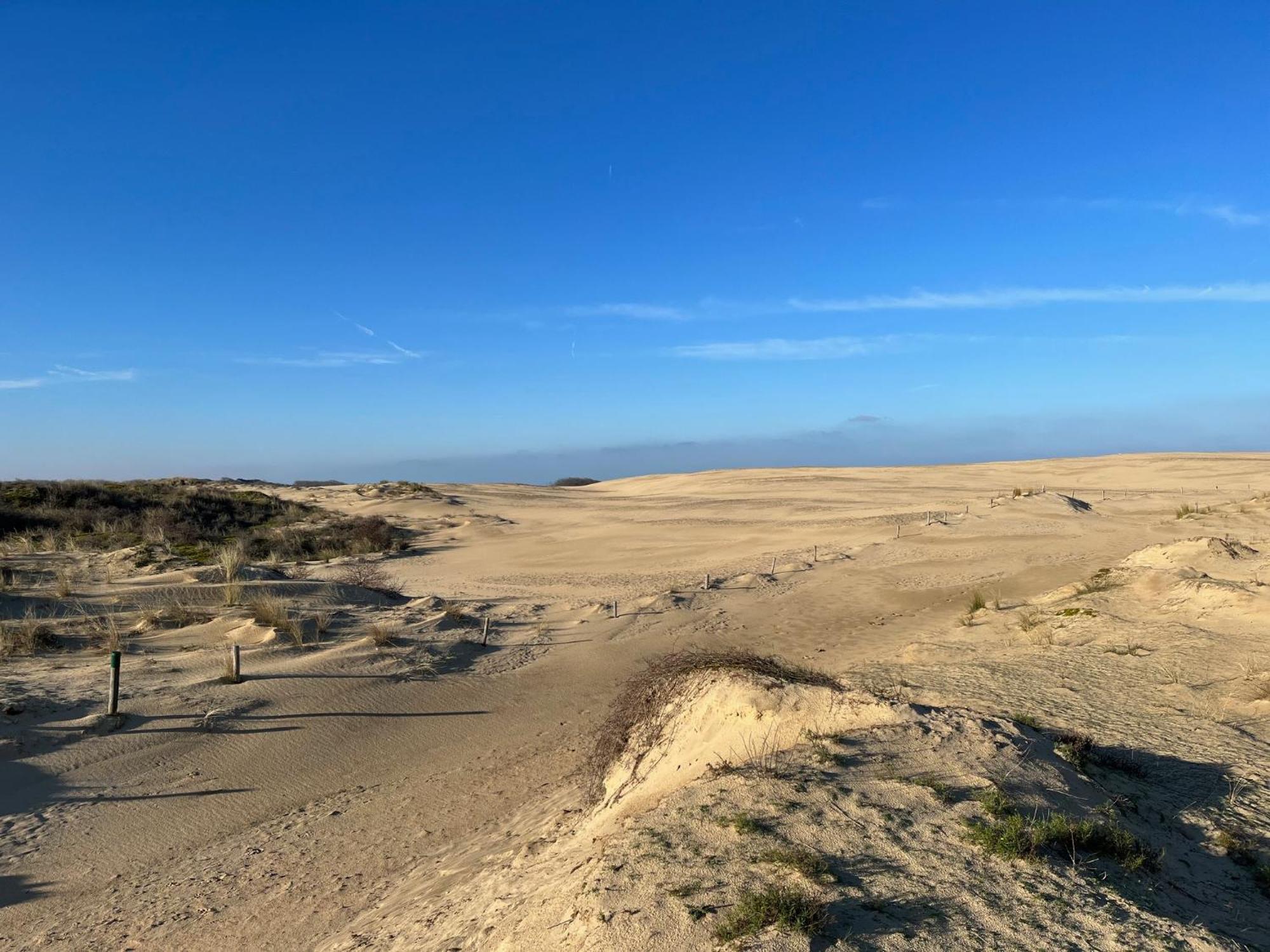 Logies La Parmentiere Apartment De Panne Luaran gambar