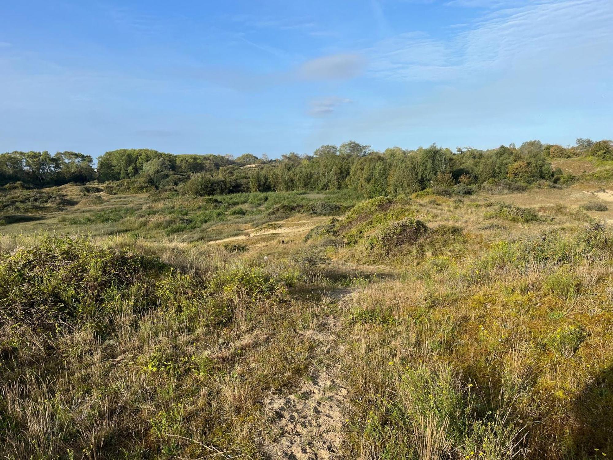 Logies La Parmentiere Apartment De Panne Luaran gambar